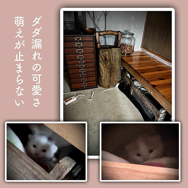 marusanさんの実例写真
