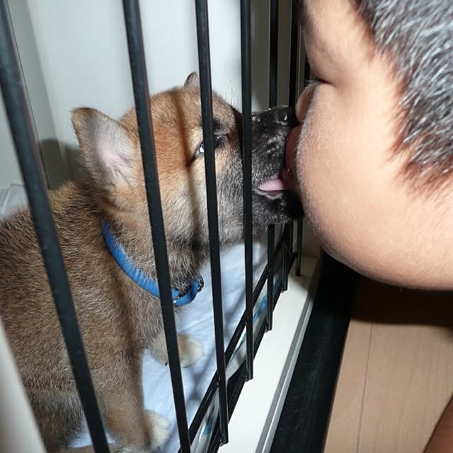 kotaさんの実例写真