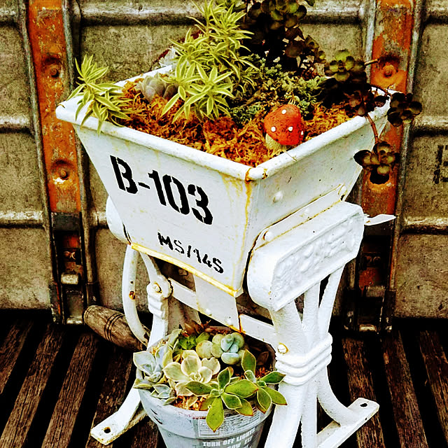 hononoさんの実例写真