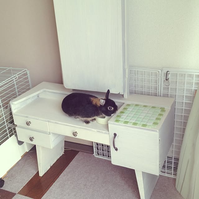 wakameさんの実例写真