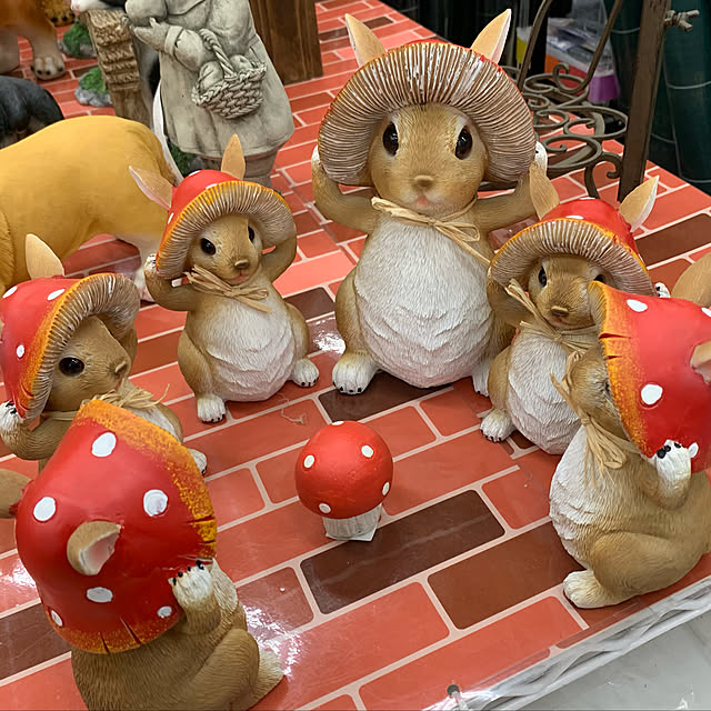 Aqettyさんの実例写真