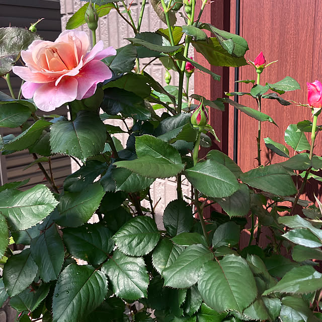 tinkunさんの部屋