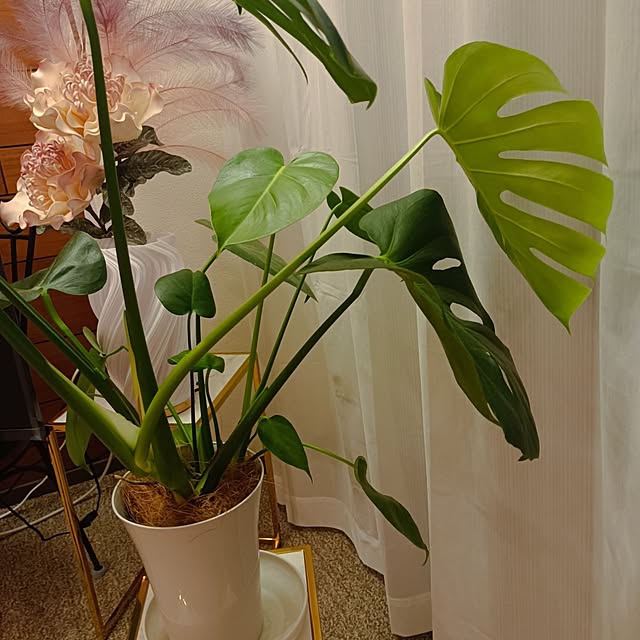 hisaさんの部屋