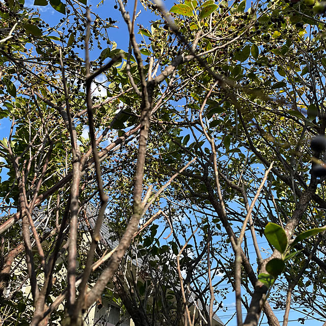 shin0719さんの部屋