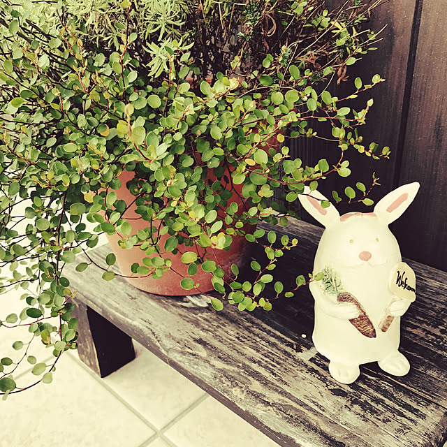 tukiさんの実例写真