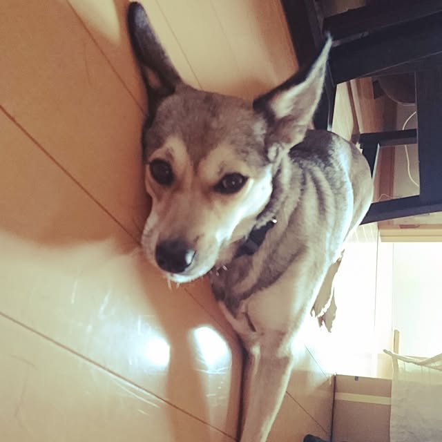andさんの実例写真