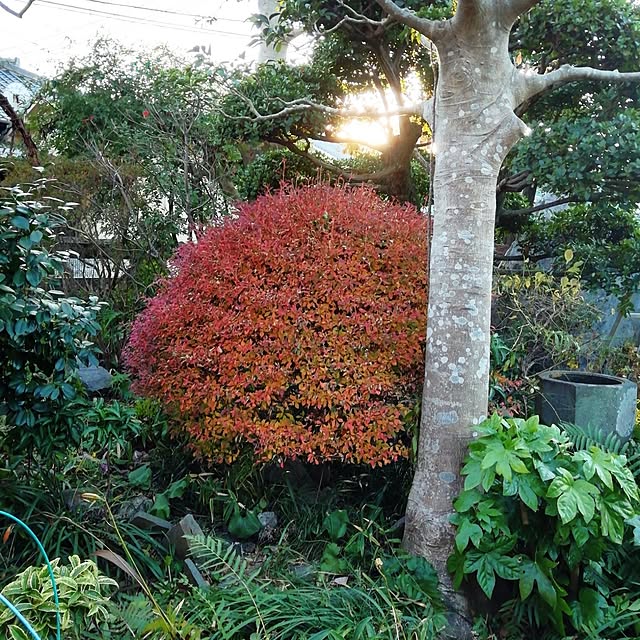 haruiroさんの部屋