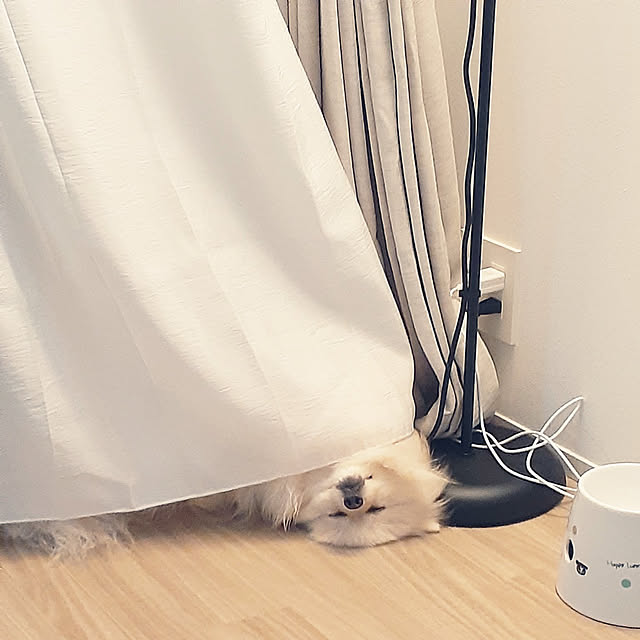 noahさんの実例写真