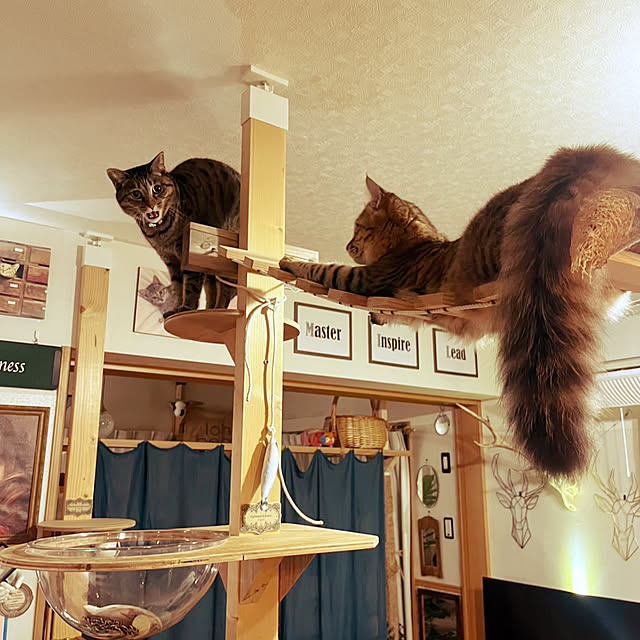 Mさんの実例写真