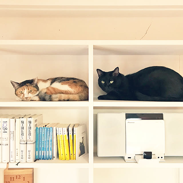 s.uraさんの実例写真