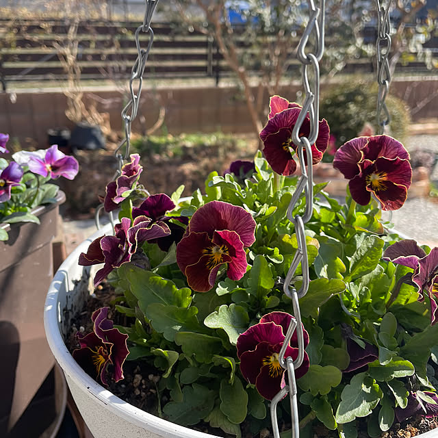 ronronさんの部屋