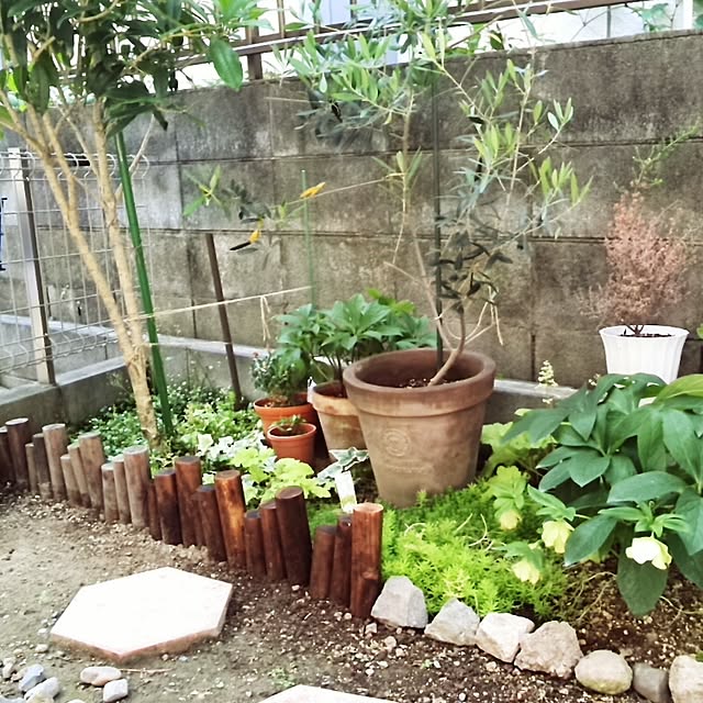mintさんの実例写真