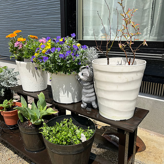 tasoさんの部屋