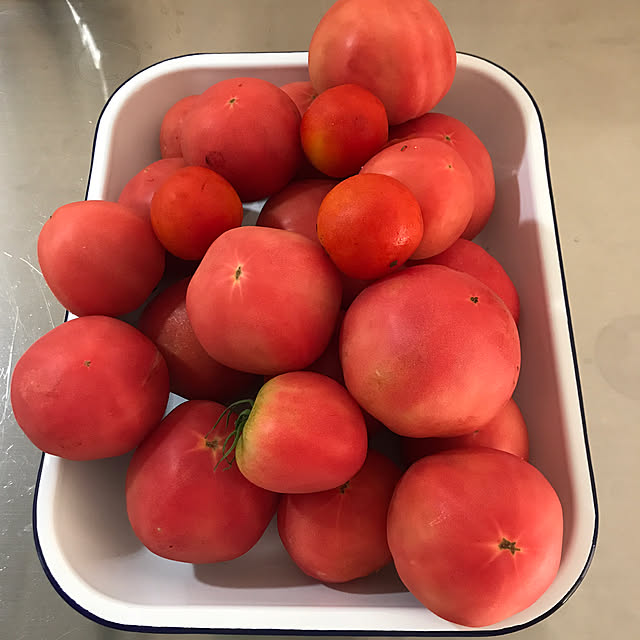 POMさんの実例写真
