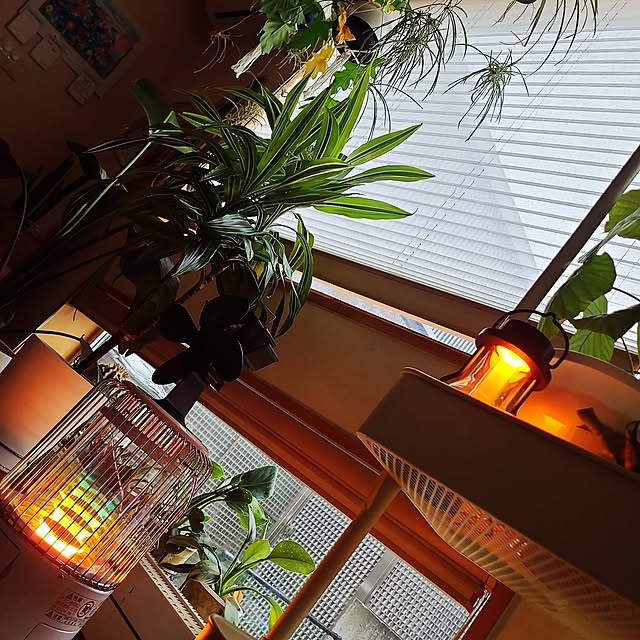 yuzuさんの実例写真