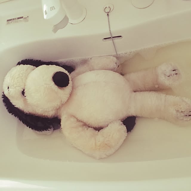 collonさんの実例写真