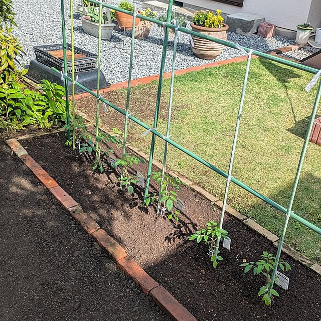 ramuramuさんの実例写真