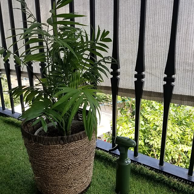 midoriさんの部屋