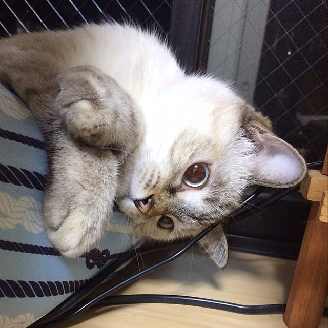 nachuさんの実例写真