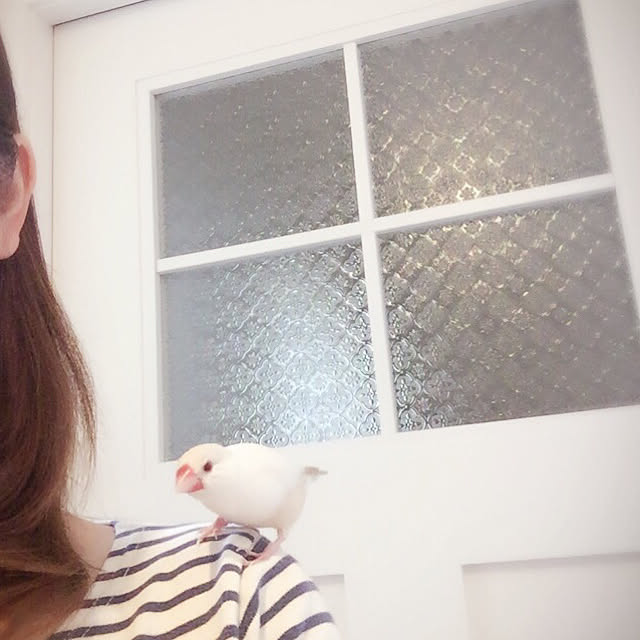 Momoさんの実例写真