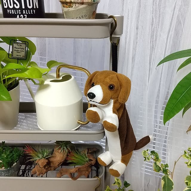 meiさんの実例写真