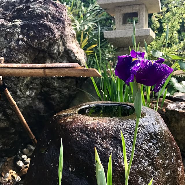 5mayさんの実例写真
