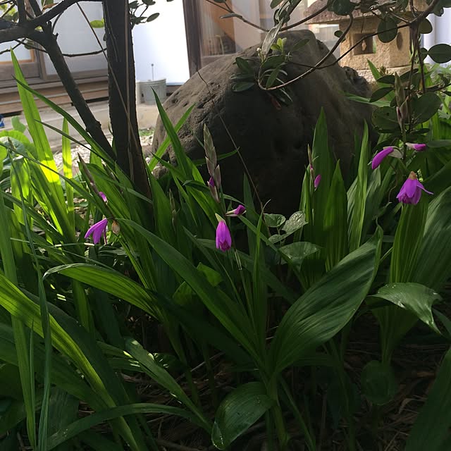 chacoさんの実例写真