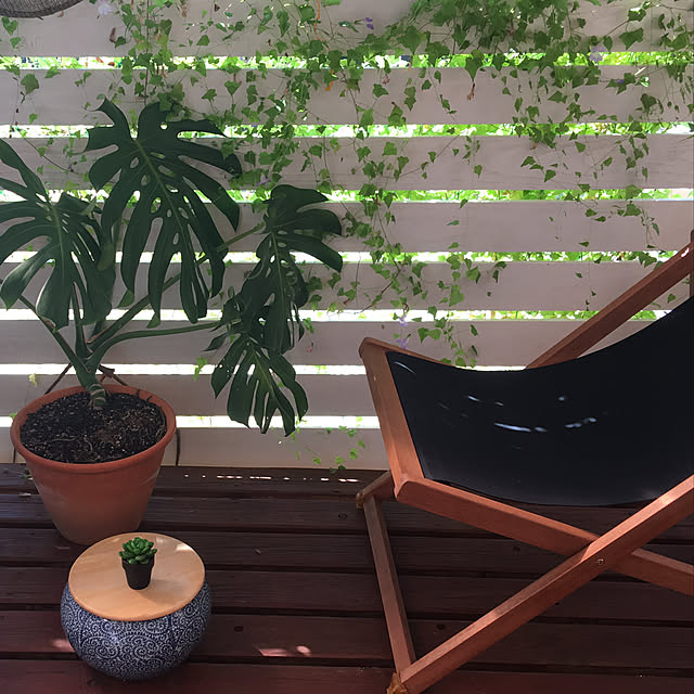 雑貨/ガーデニング/観葉植物/DIY/玄関/入り口のインテリア実例 - 2019-09-16 10:01:53