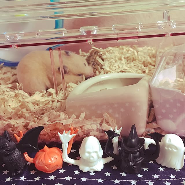 ONTさんの実例写真