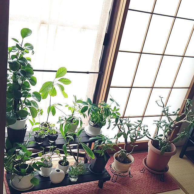 mooさんの実例写真