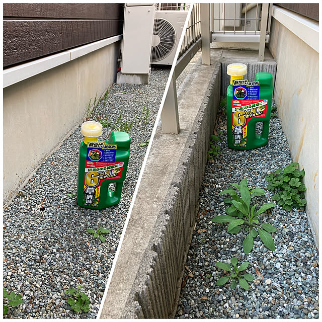 sansankikiさんの実例写真