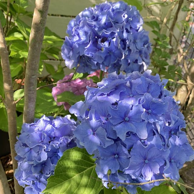min_nimさんの実例写真