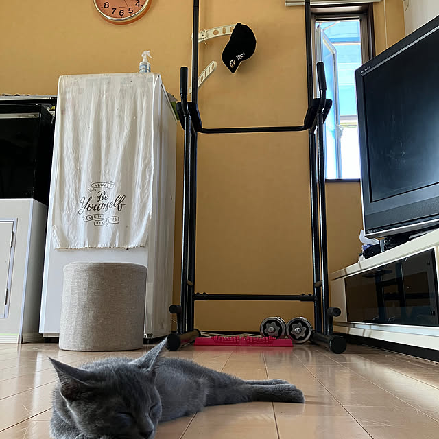 nekoさんの実例写真