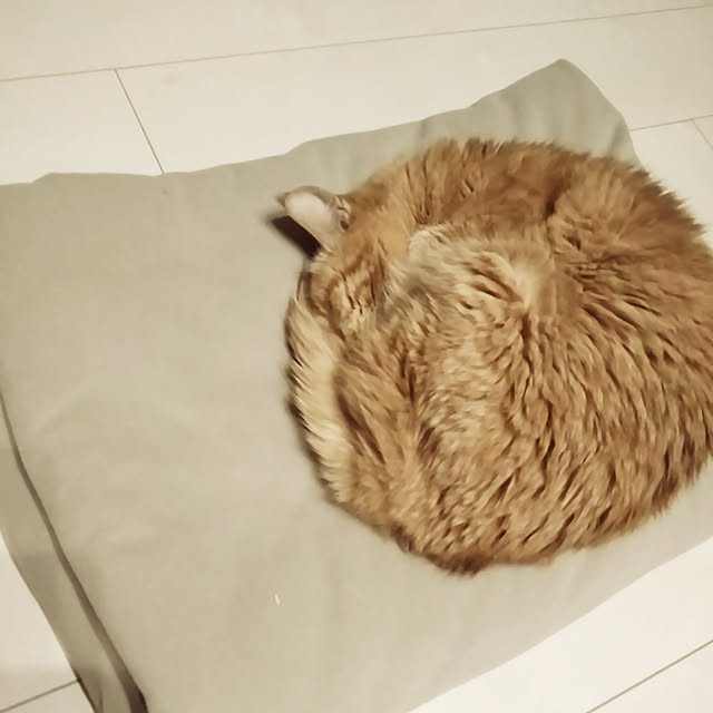hanacocoさんの実例写真