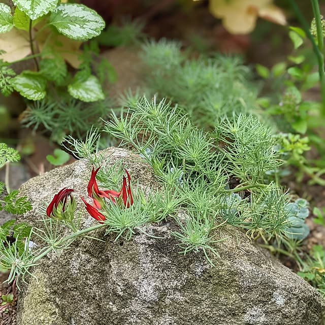 hiroさんの部屋