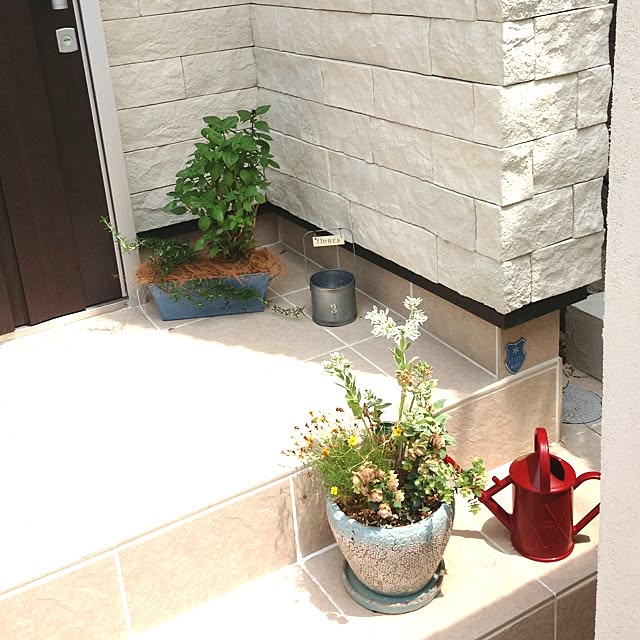 実例写真