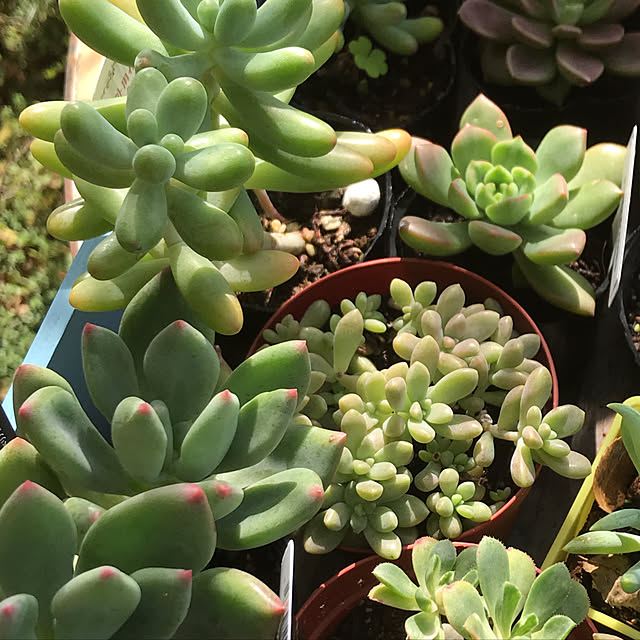 **yuu**さんの実例写真