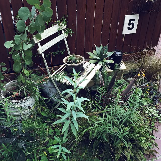 naonaoさんの実例写真