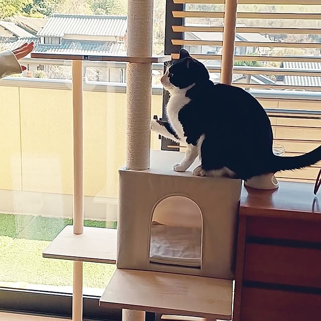 anzuさんの実例写真