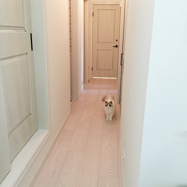 yuchiさんの実例写真