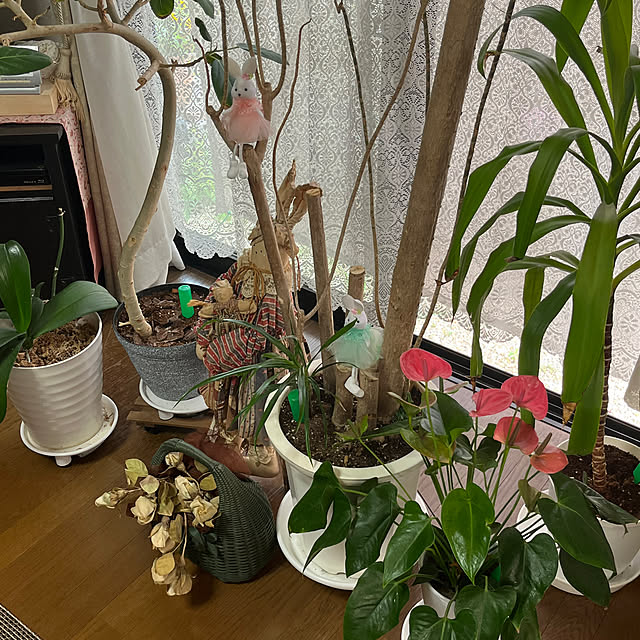 ritsukoさんの部屋