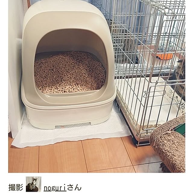 noguriさんの実例写真