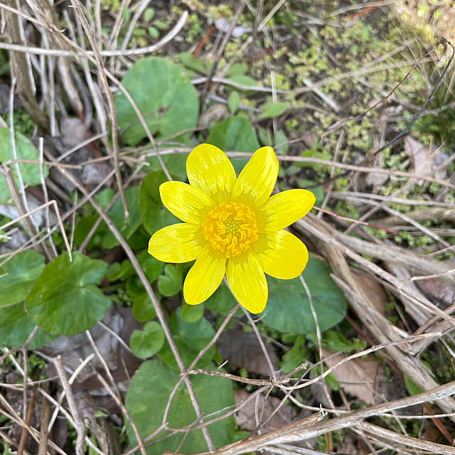 kakoさんの実例写真