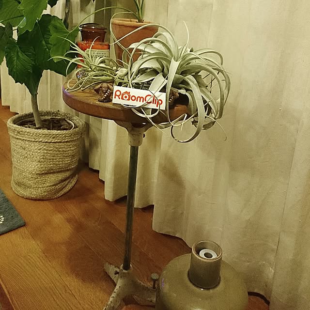 bibi.karuさんの実例写真