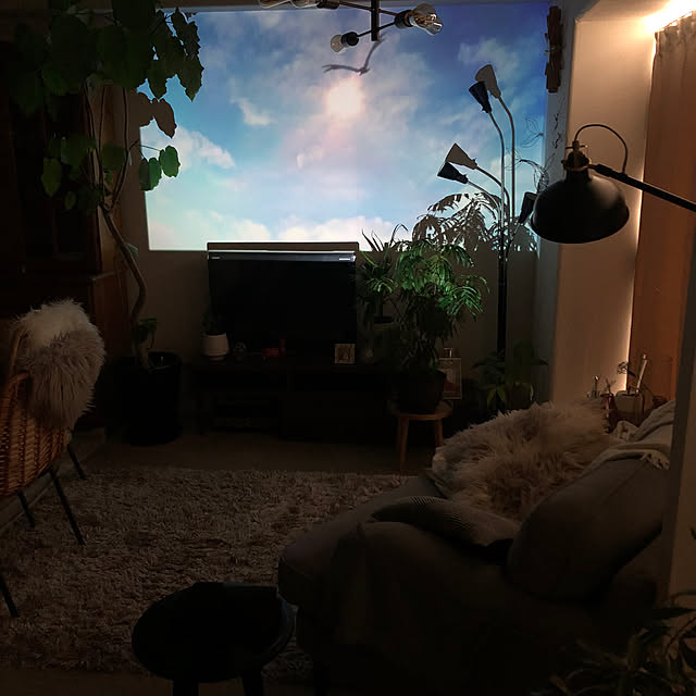 pu-nyu-pu-nyuさんの部屋