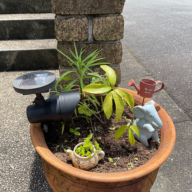 kikiさんの部屋