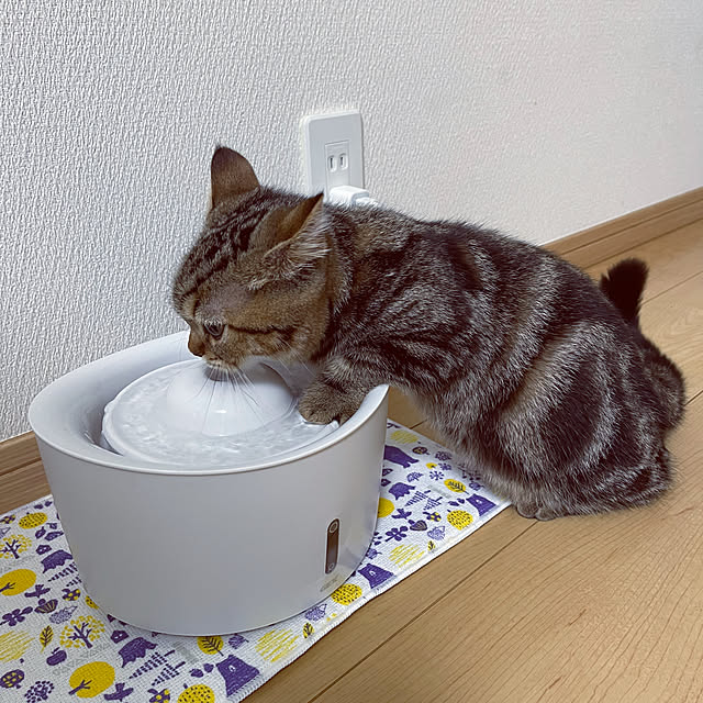 chiiさんの実例写真