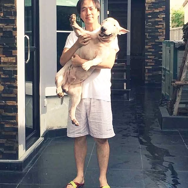 Thammaratさんの実例写真