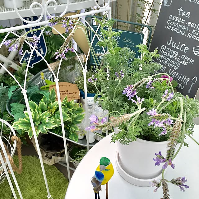 Mopmamaさんの実例写真