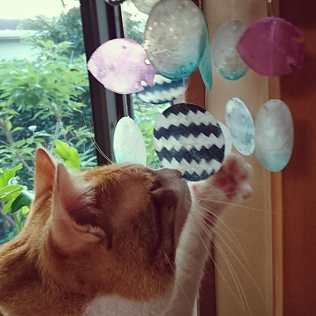 rinさんの実例写真